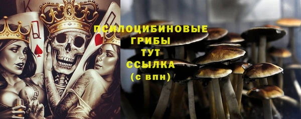прущий лед Абдулино