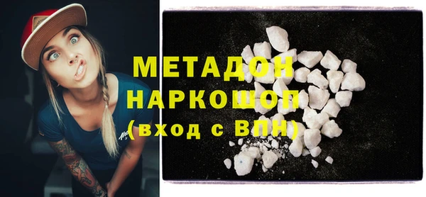 стаф Алзамай