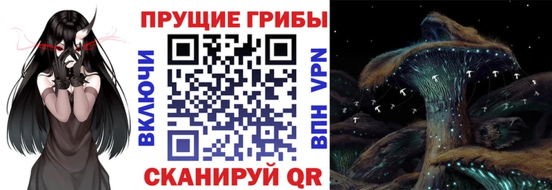 Псилоцибиновые грибы Cubensis  купить наркотики сайты  гидра зеркало  Урус-Мартан 