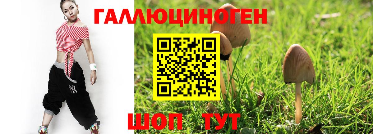 Псилоцибиновые грибы мицелий  Псилоцибиновые грибы ЛСД  Вход с VPN  где купить наркотик  Урус-Мартан 